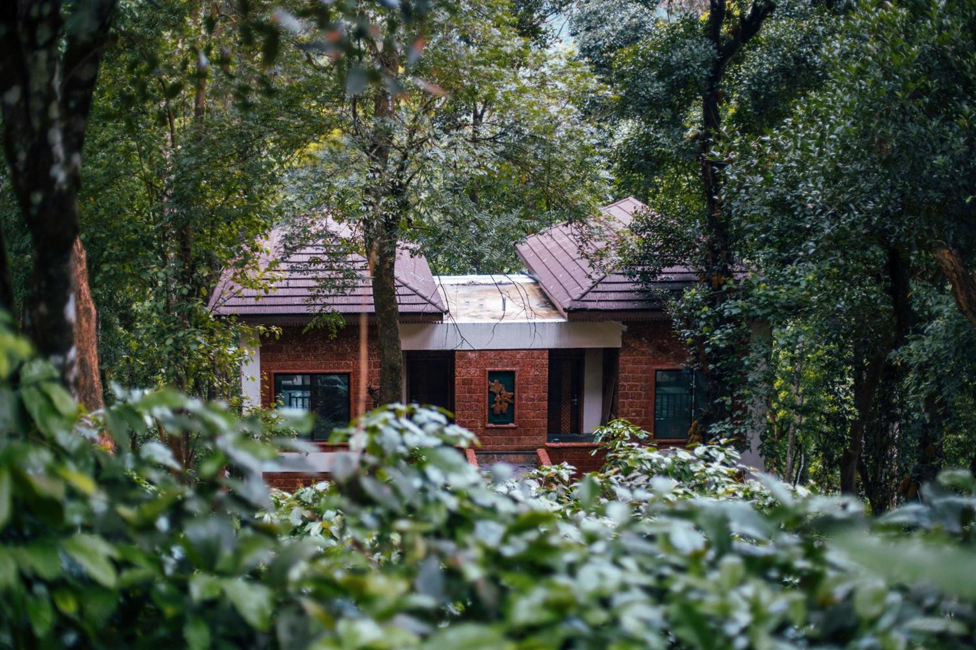 Timbertales Luxury Resort Coorg 마디케리 외부 사진